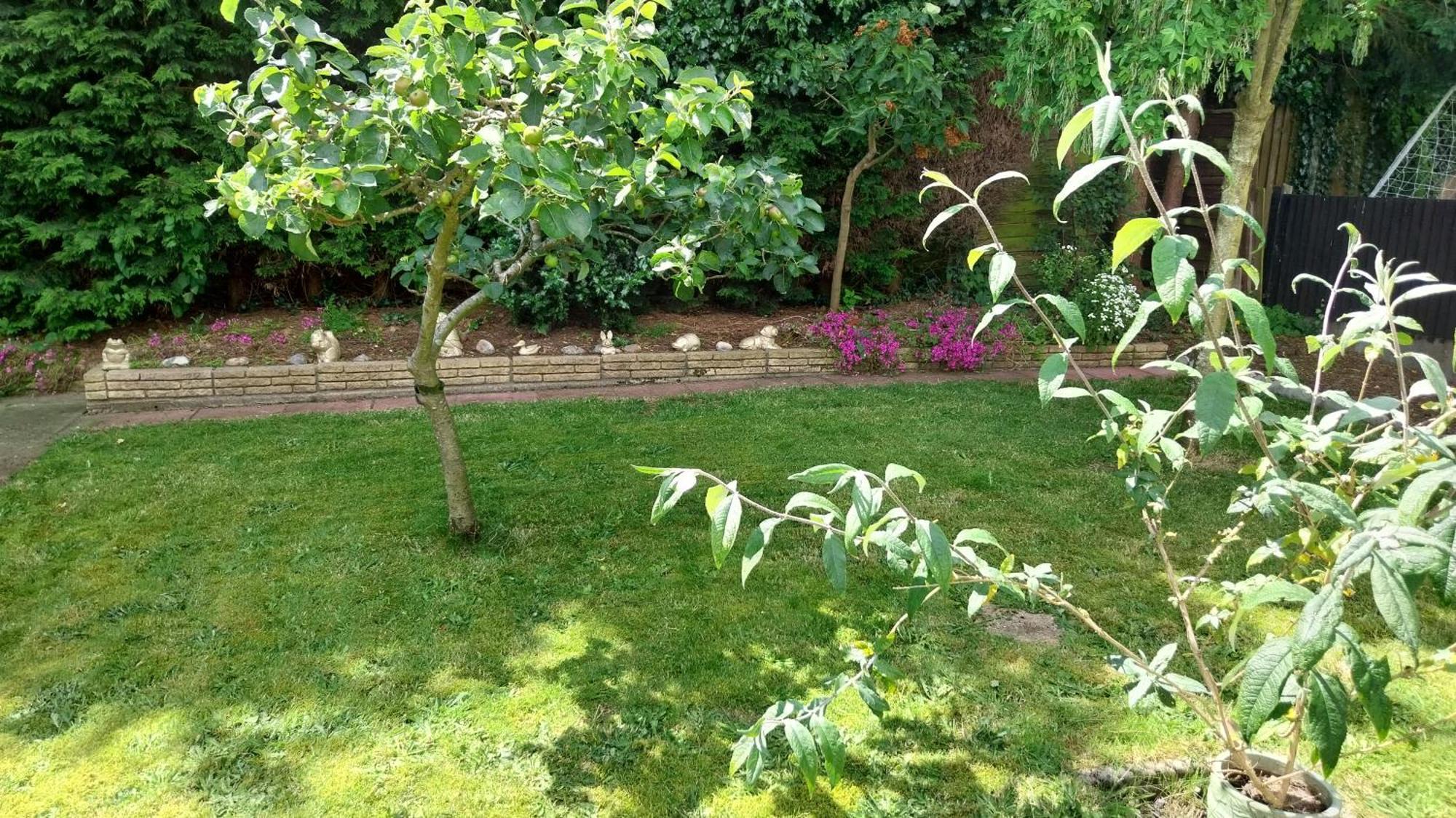 Beautiful 3-Bed Bungalow Kessingland Rural Retreat Lowestoft Ngoại thất bức ảnh